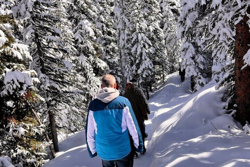 Lake Louise, Moraine Lake, Emerald Lake and Johnston Canyon Tour