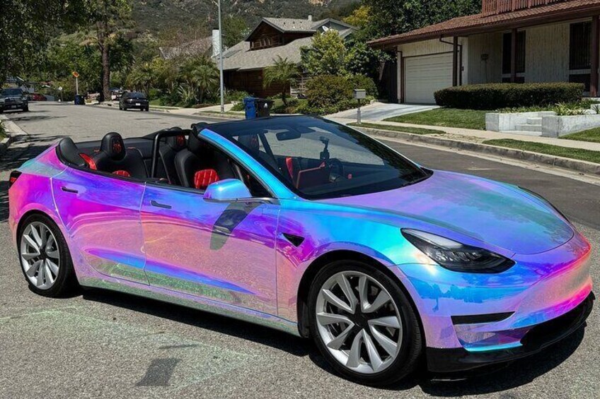 Spyder