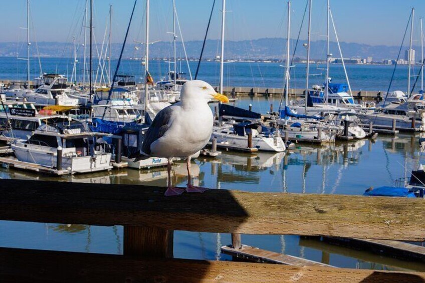 learn the maritime history