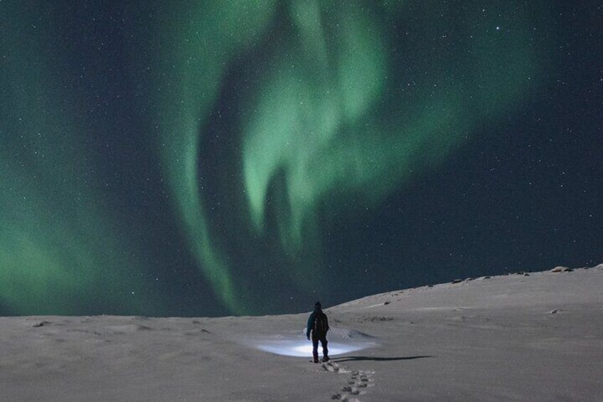 Experience the Magic of the Northern Lights in Lofoten