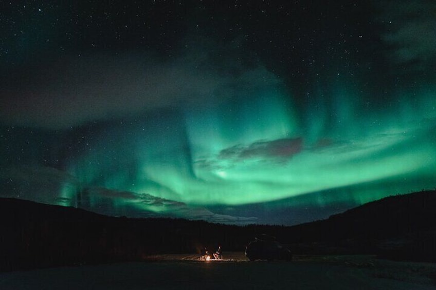 Experience the Magic of the Northern Lights in Lofoten