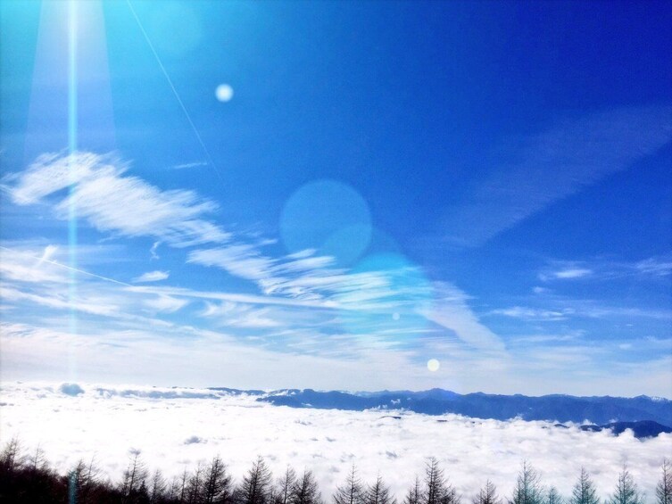 Mt. Fuji and Hakone 1-Day Bus Tour [Return w/ Shinkansen]