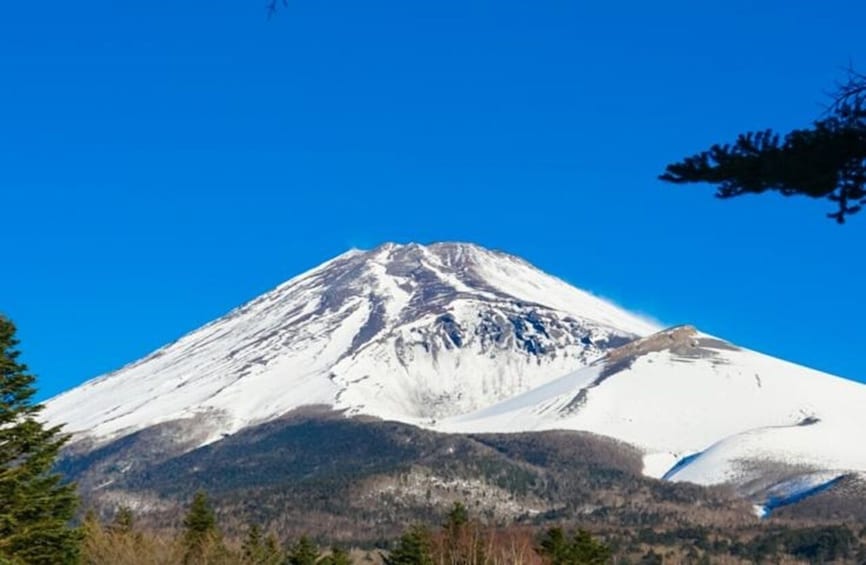 Mt. Fuji and Hakone 1-Day Bus Tour [Return w/ Shinkansen]