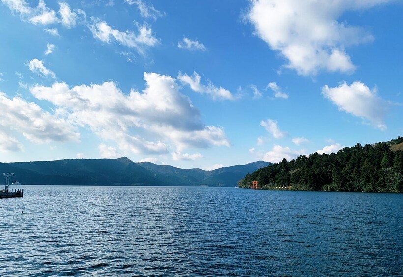 Mt. Fuji and Hakone 1-Day Bus Tour [Return w/ Shinkansen]