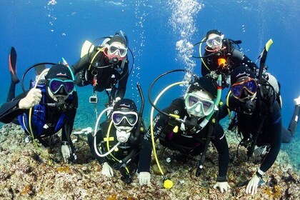 Diving in Kansai, Japan for Licence Holders
