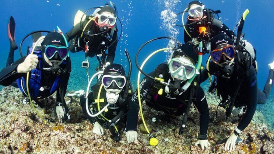 Trial diving tour that even inexperienced people can enjoy safely