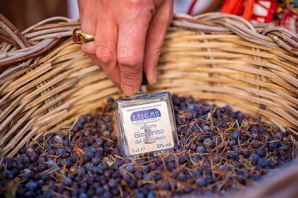 Laconi Chocolate and Typical Liqueurs Workshop with Tasting