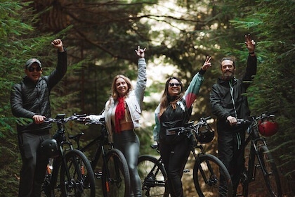 Rent of Bike Deluxe in Circuito Chico