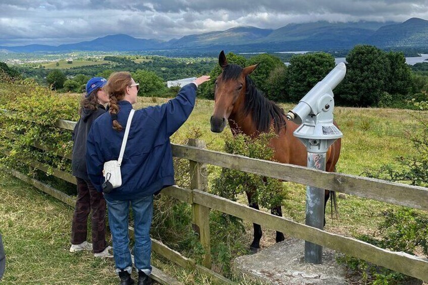 View at Aghadoe , Killarney