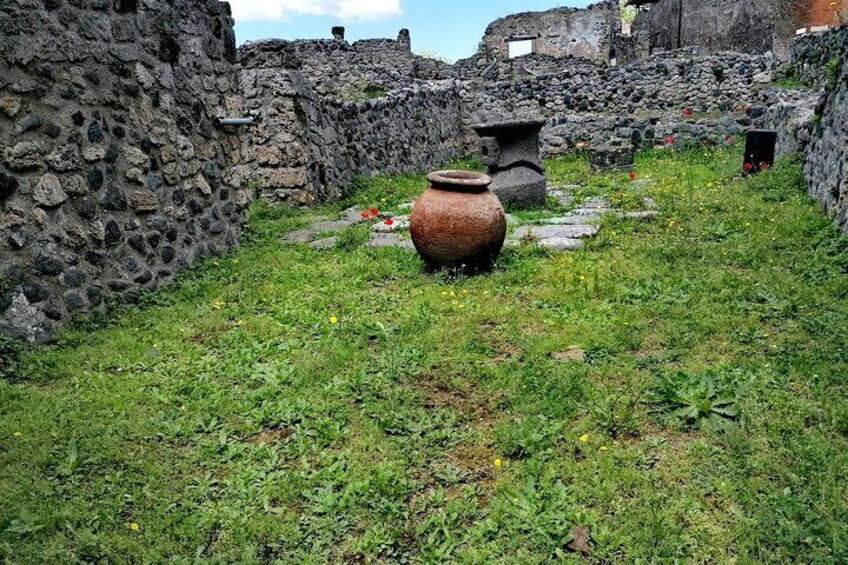 Pompeii from Naples Smart Audio Guide with Instructions
