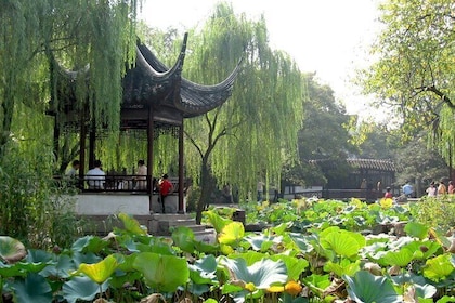 Suzhou Private Day Trip from Shanghai with Bullet Train Option