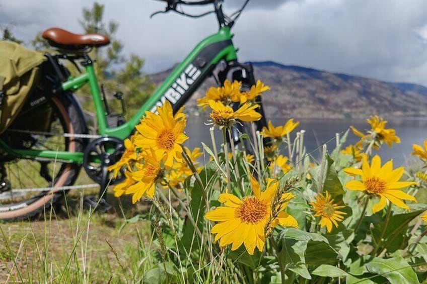 Kelowna E-Bike Guided City Highlights Tour