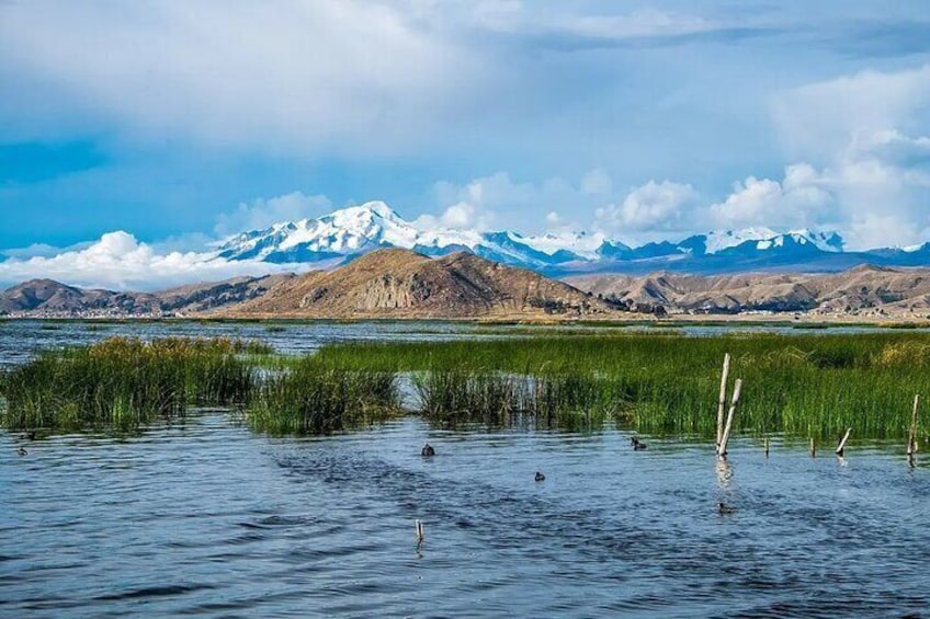 2 Day Shared Tour in Lake Titicaca and Isla Del Sol