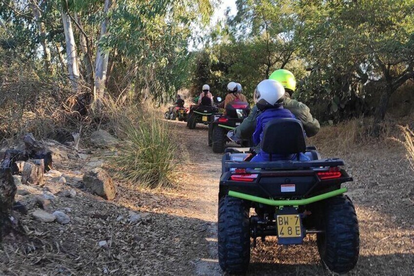 Cagliari: 4-hour ATV tour from Guasila