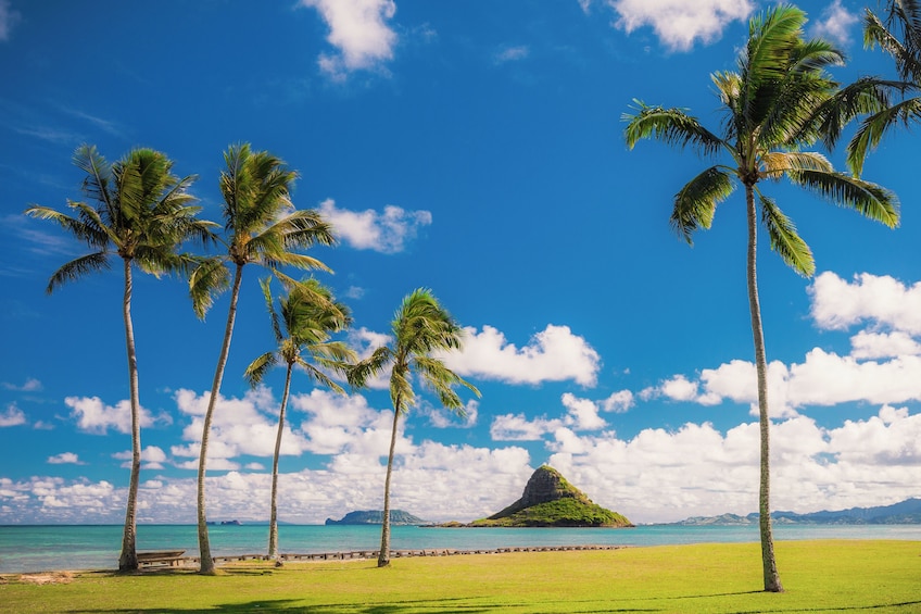 New Tour: Ultimate Pearl Harbor Circle Island tour