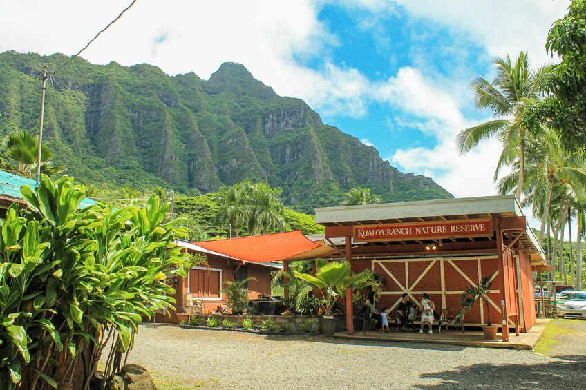 New Tour: Ultimate Pearl Harbor Circle Island tour 