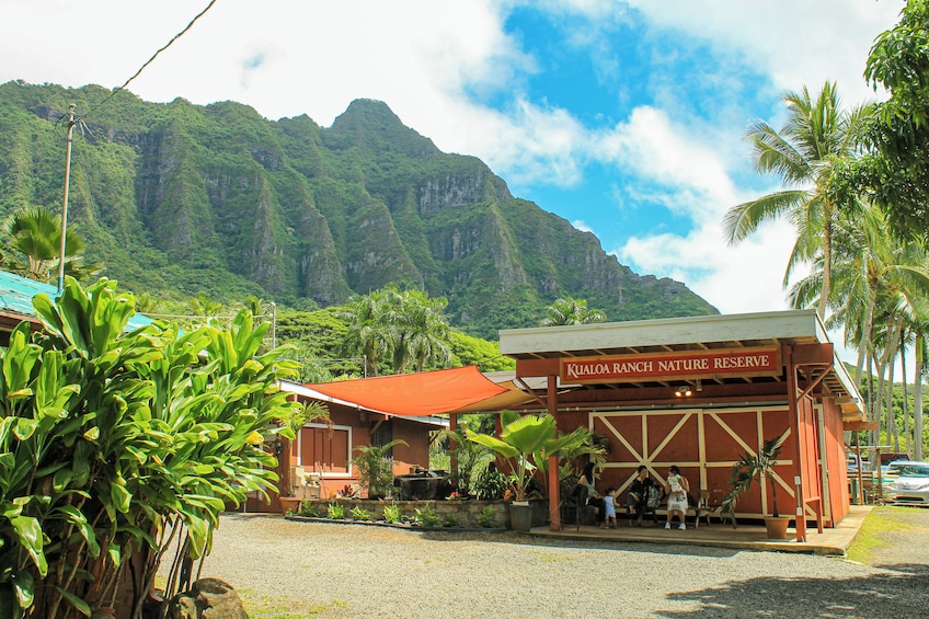New Tour: Ultimate Pearl Harbor Circle Island tour