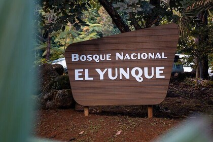 El Yunque Rainforest EZ-bustour (rolstoeltoegankelijk)
