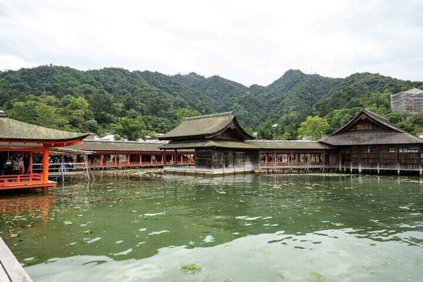 Miyajima Island Day Tour in Sacred Sites and Mount Misen