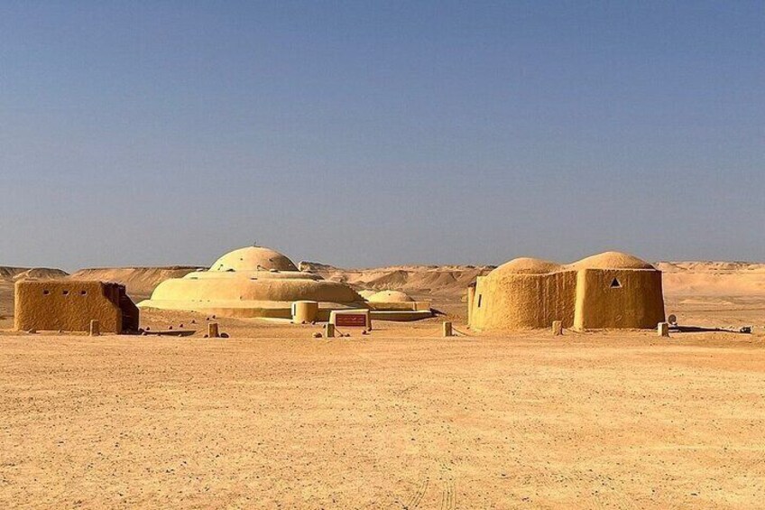 Private Tour To Faiyum Oasis From Cairo or Giza