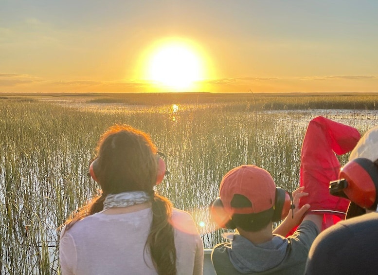 Everglades: Miami Twilight River of Grass Small Airboat Tour