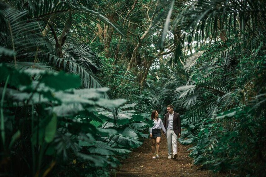 Ishigaki jungle.