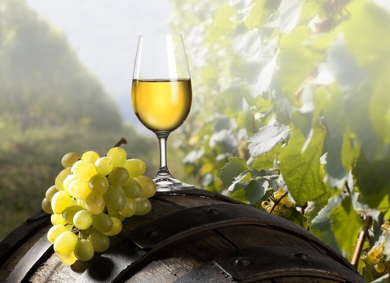 Picture 4 for Activity Maribor & Styria Tour with Wine Tasting