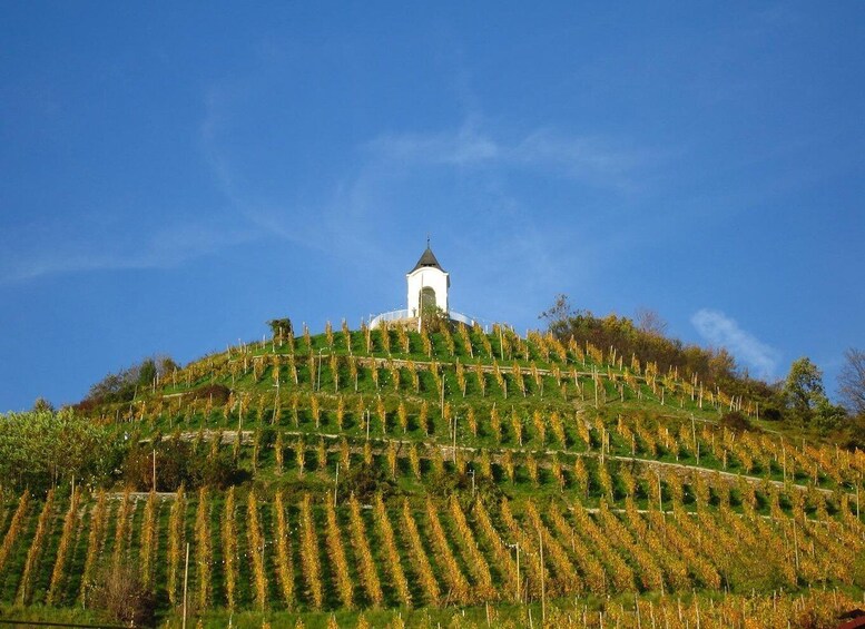 Picture 5 for Activity Maribor & Styria Tour with Wine Tasting