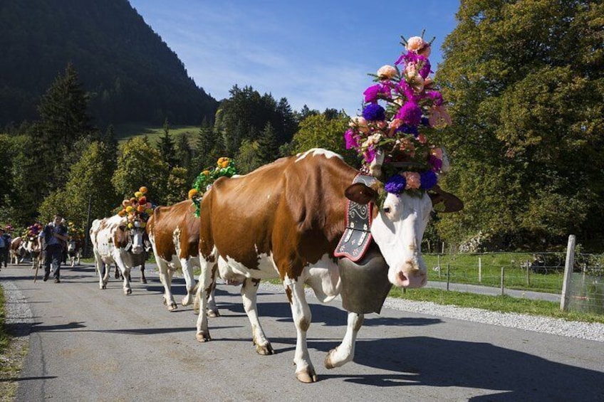  Cheesemaking and Mount Titlis in the heart of the Alps (Private Tour)