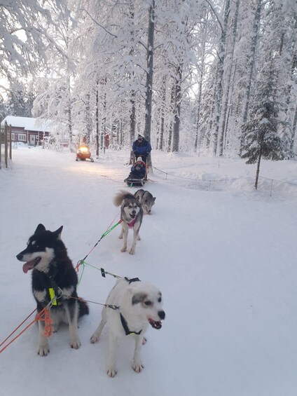 Picture 3 for Activity 2 Nights Lapland experience