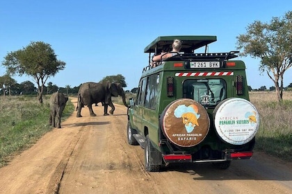 1 Day Safari to Mikumi NP from Dar es Salaam by Electric Train