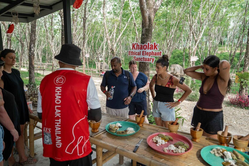 Picture 10 for Activity Khaolak Ethical Elephant Sanctuary Snack Making & Feeding