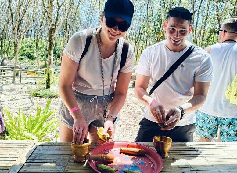 Picture 9 for Activity Khaolak Ethical Elephant Sanctuary Snack Making & Feeding