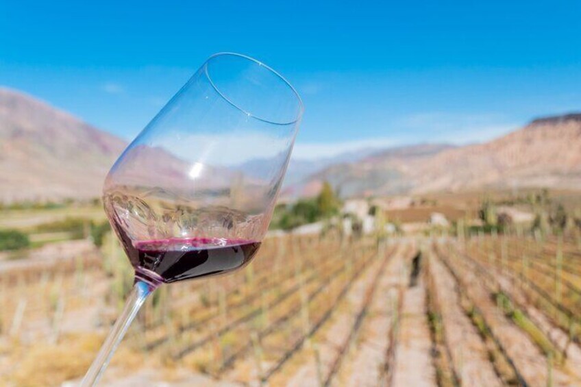 Wine Trails from Mendoza