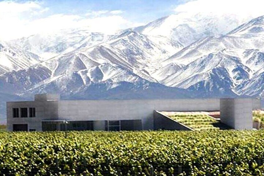 Wine Trails from Mendoza