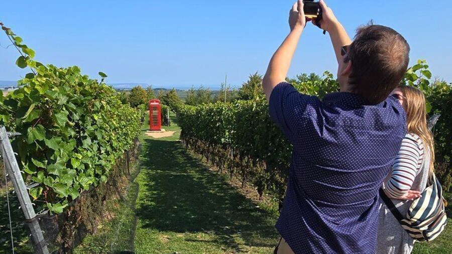 Make a call to anywhere in Canada from the famous phone booth at Luckett Vineyards.