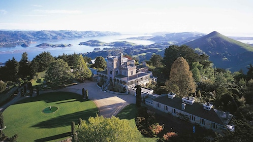 Mainland & Otago Peninsula Tour