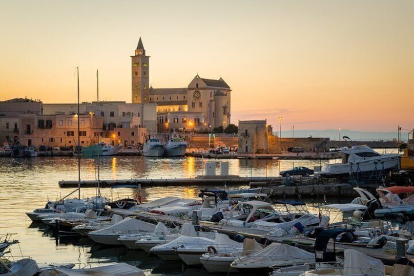 Small group excursion to Castel del Monte and Trani from Bari