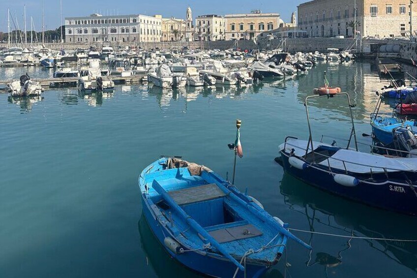 Castel del Monte and Trani small-group guided tours from Bari