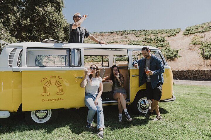 VW Bus Wine Tour