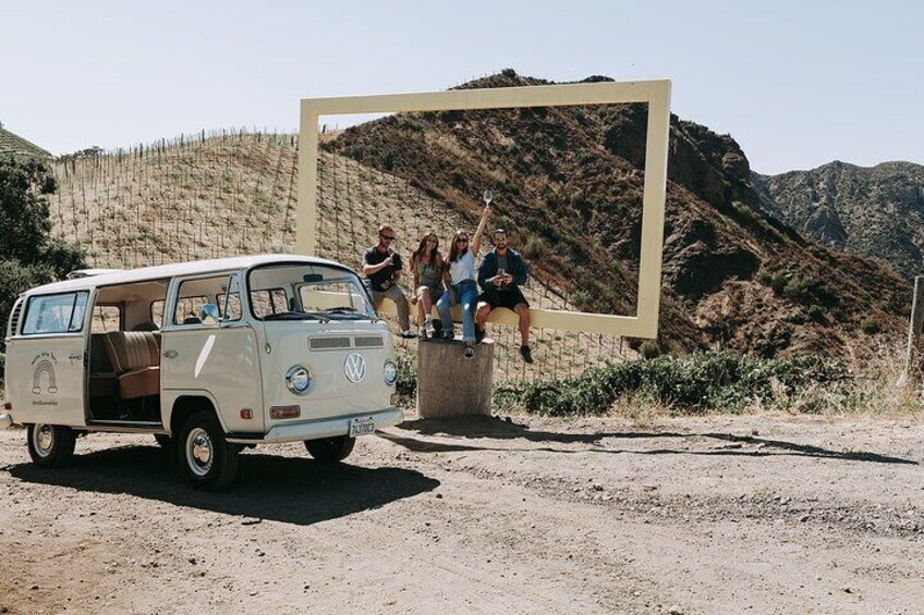 VW Bus Wine Tour