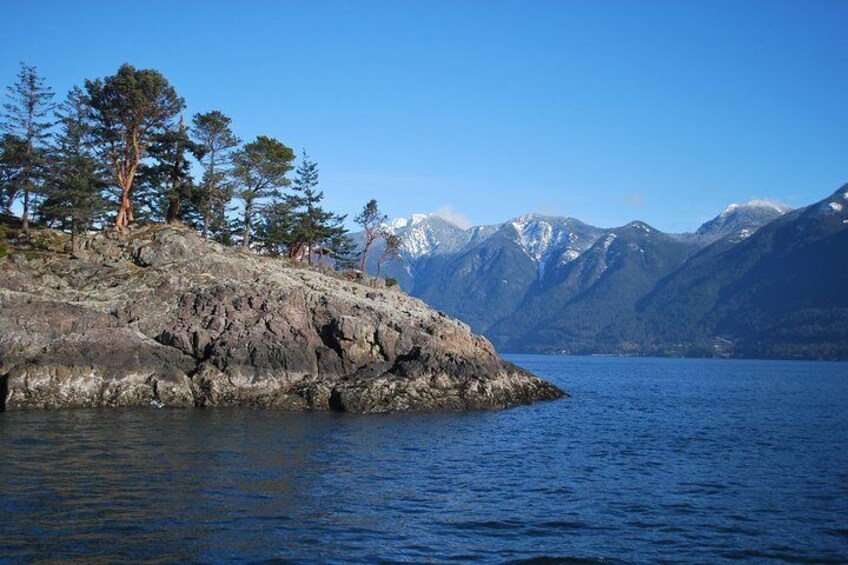 Scuba Diving and Boat Tour in Vancouver