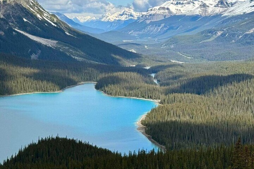 Can/Banff :Columbia Icefield, Crowfoot Glacier and Bow Lake, Tour