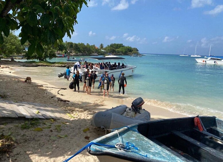 Picture 3 for Activity La Romana: 3-Day PADI Open Water Diver Course