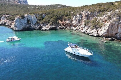 Alghero Private Day Boat Trip to Porto Conte Park