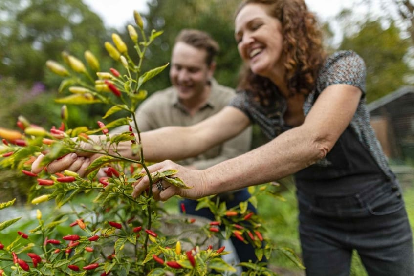 Picture 2 for Activity Central Coast NSW: The Winemakers Secret Garden Tour