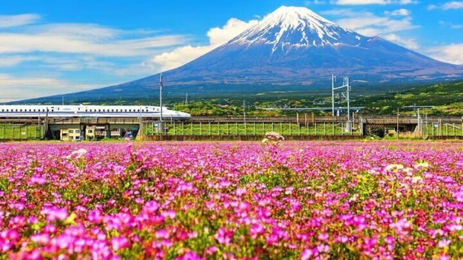 Tokyo Mt. Fuji, Lake Kawaguchi,Lake Yamanaka,Onsen Day Tour