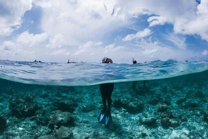 Private Snorkeling Adventure in Maldives