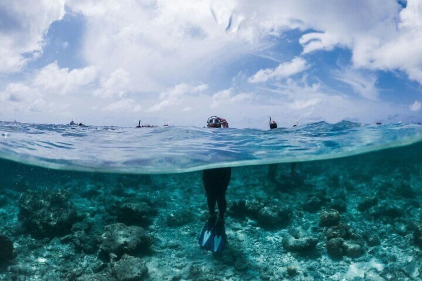 Guests snorkelling in Maldives 