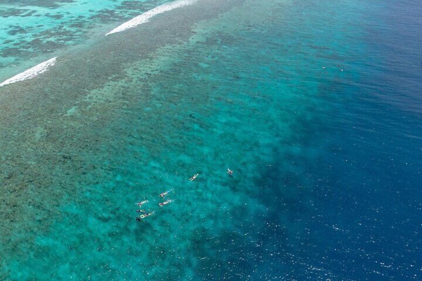 Guest Snorkelling near a reef in Maldives 